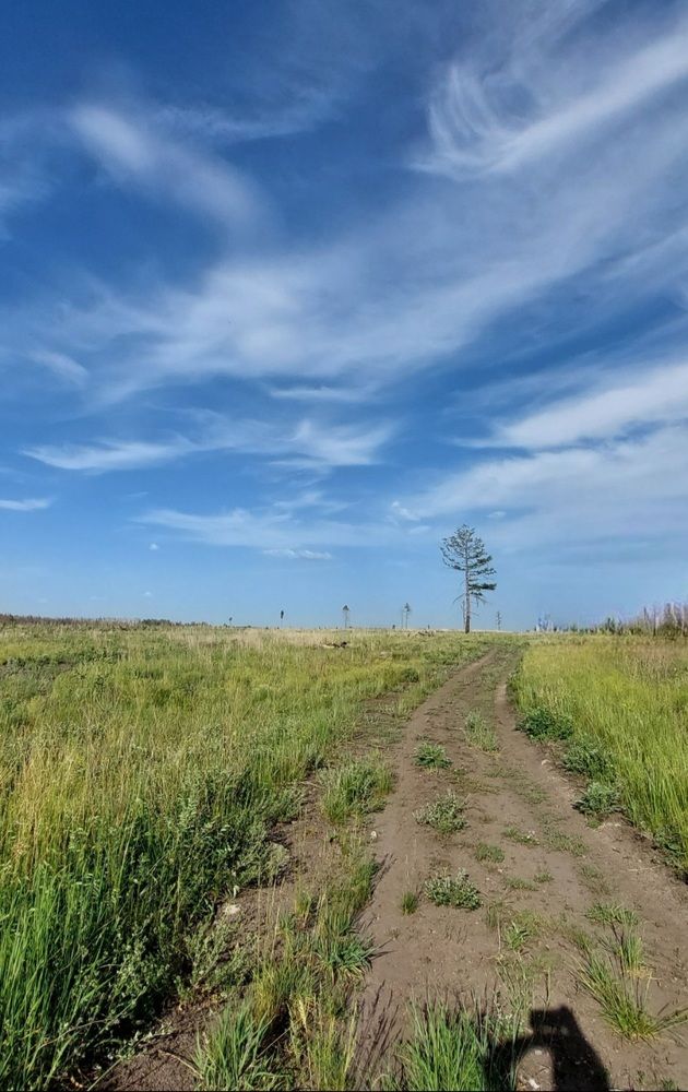 Photograph by Кристина Сысоева