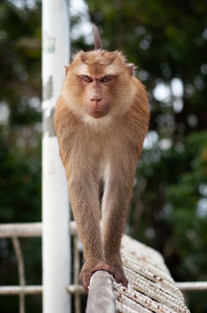 Photograph by Анна Орманжи