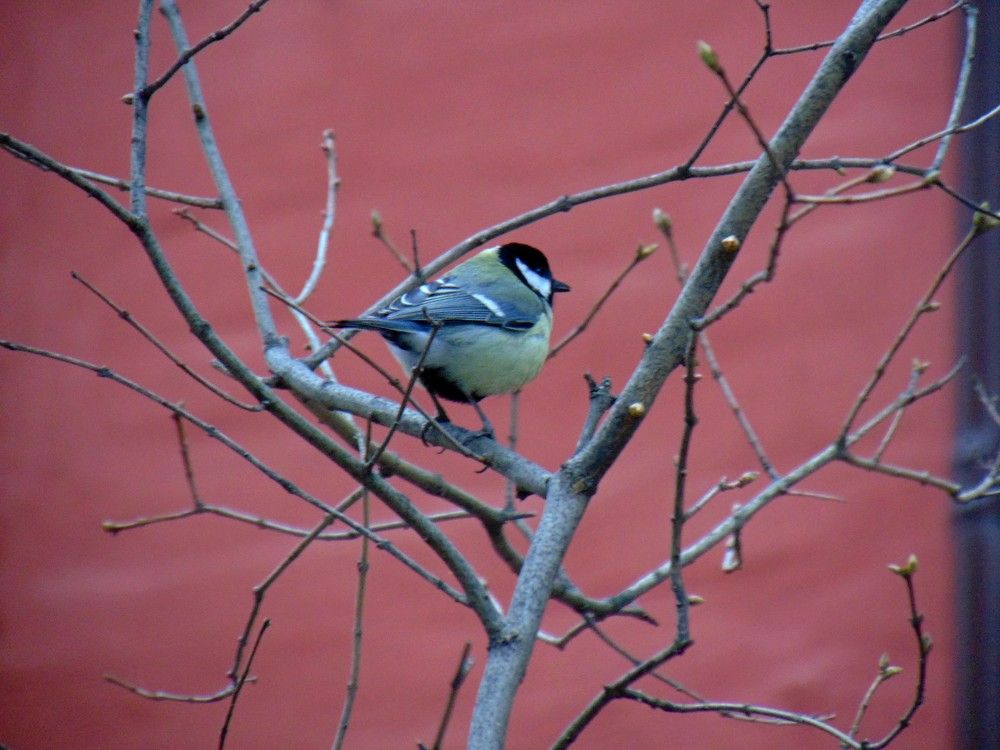 Photograph by Ольга Шевцова