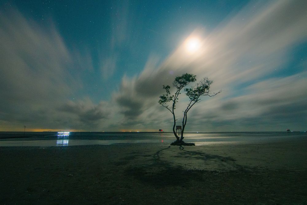 Фотография автора QUANG THOI HUA