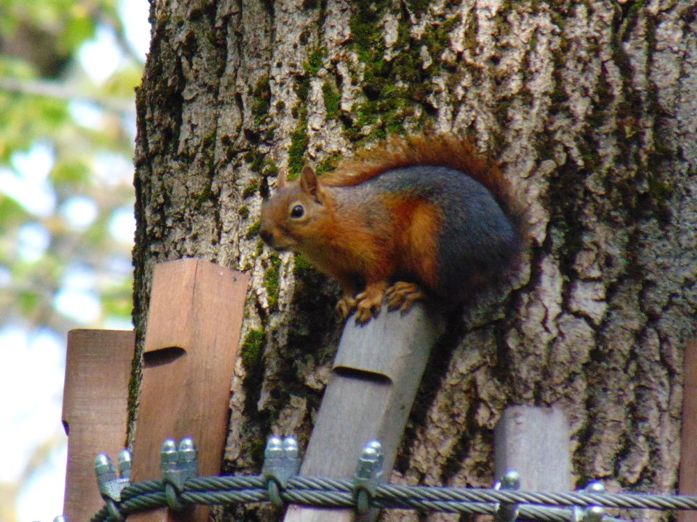 Photograph by Ольга Шевцова