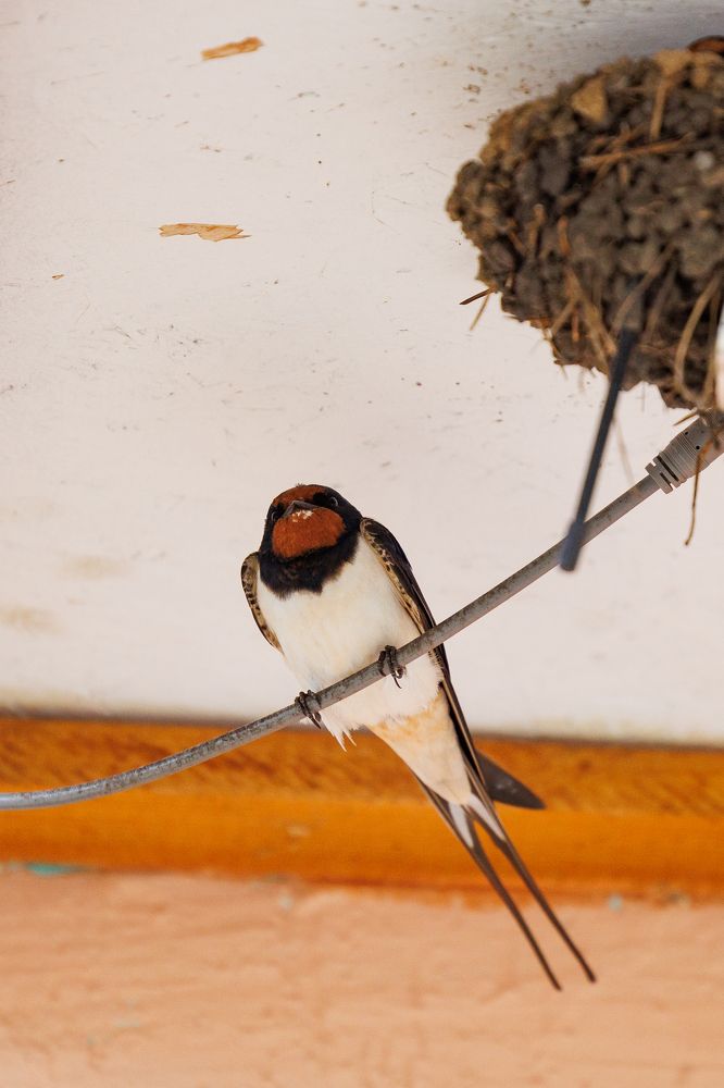 Photograph by Заломаева Надежда