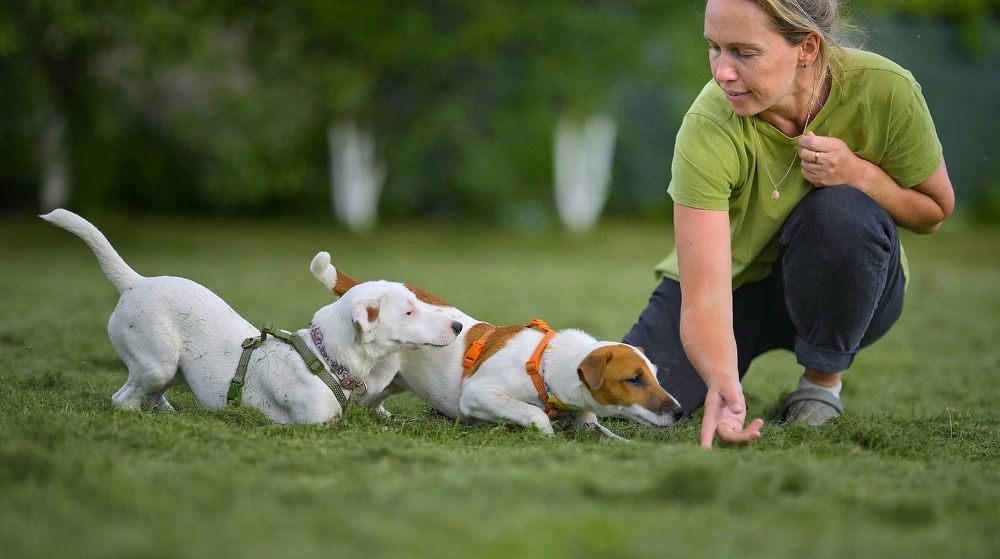 Photograph by Вячеслав Романов
