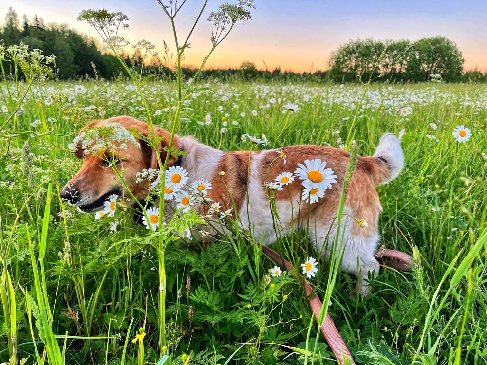 Photograph by Ирина Селиверстова