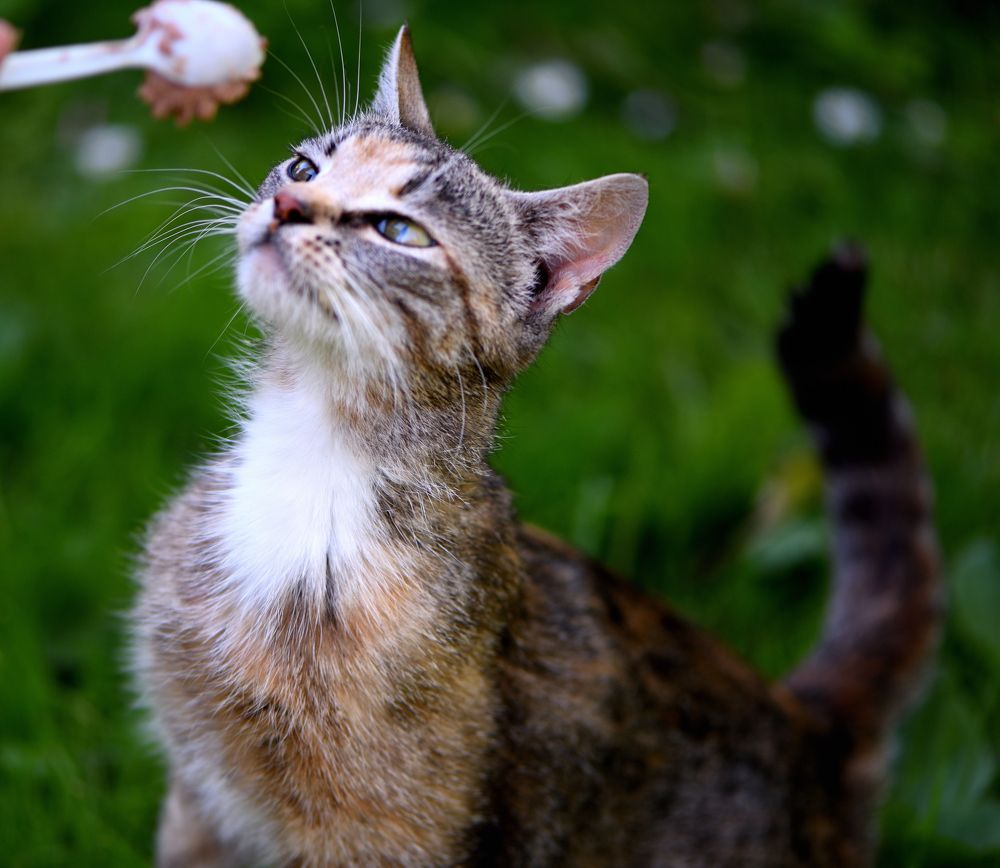 Photograph by Александр Дерезкин