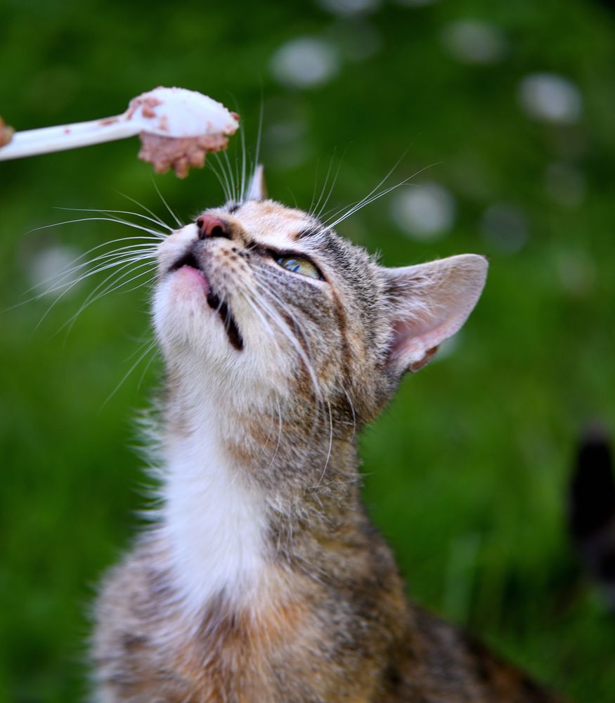 Photograph by Александр Дерезкин