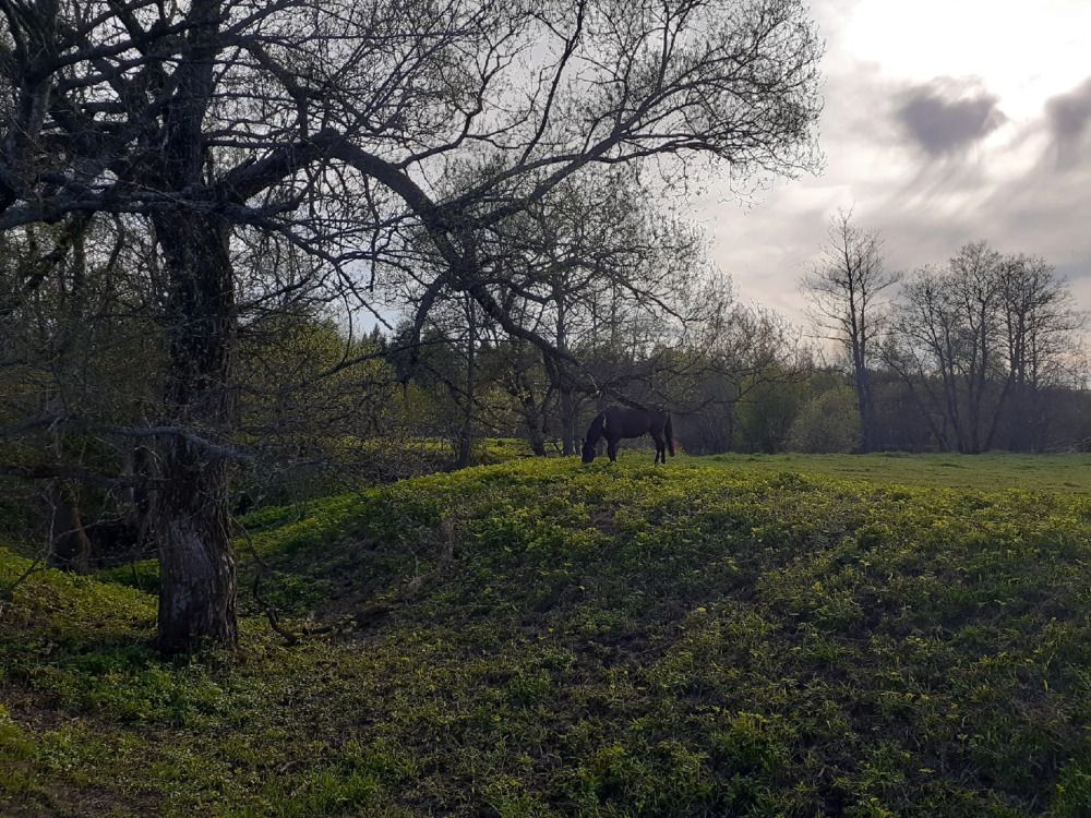 Photograph by Ольга Лобова
