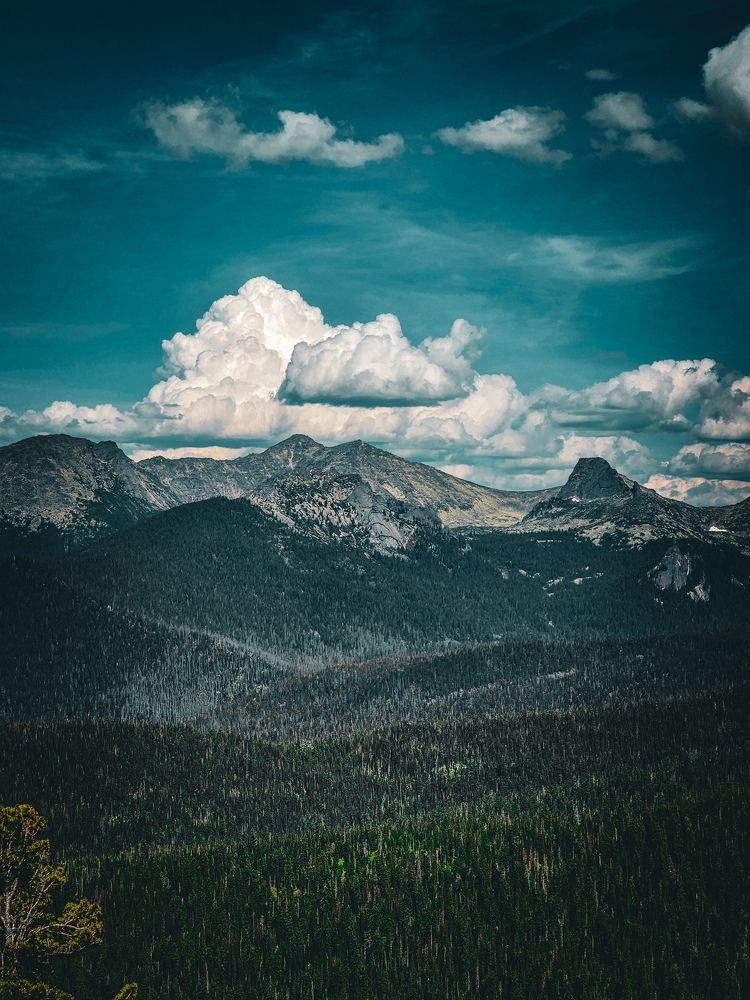 Фотография автора Evgeniy Shabanov