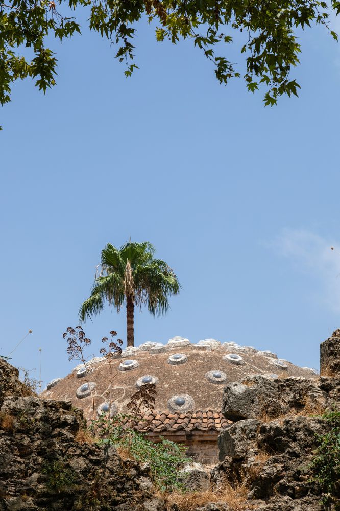 Photograph by Olga Min