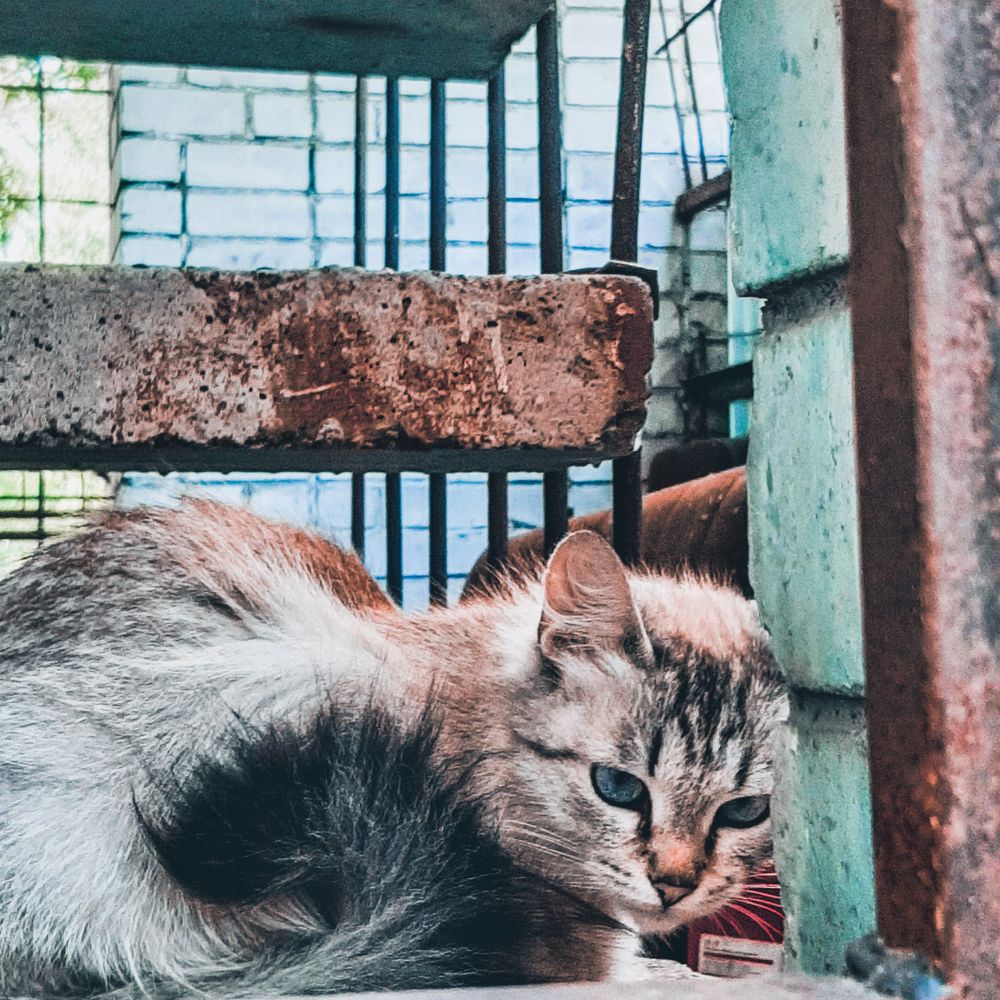 Photograph by Ксения Кушова