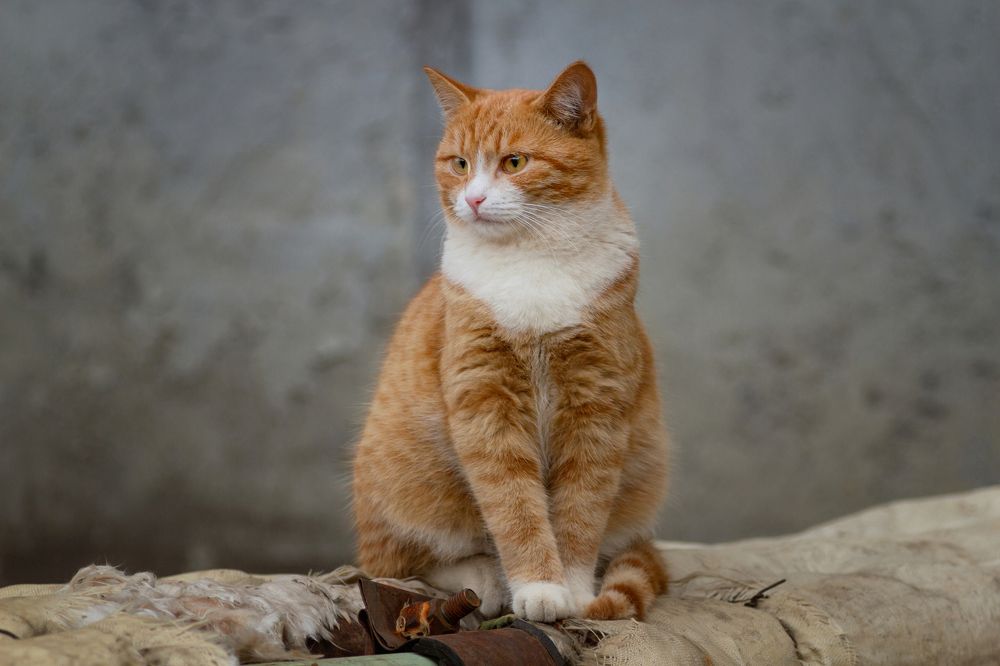 Photograph by Александр Канцур