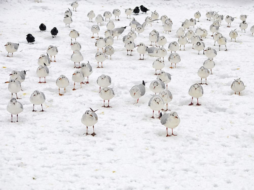 Photograph by Bekir Yesiltas
