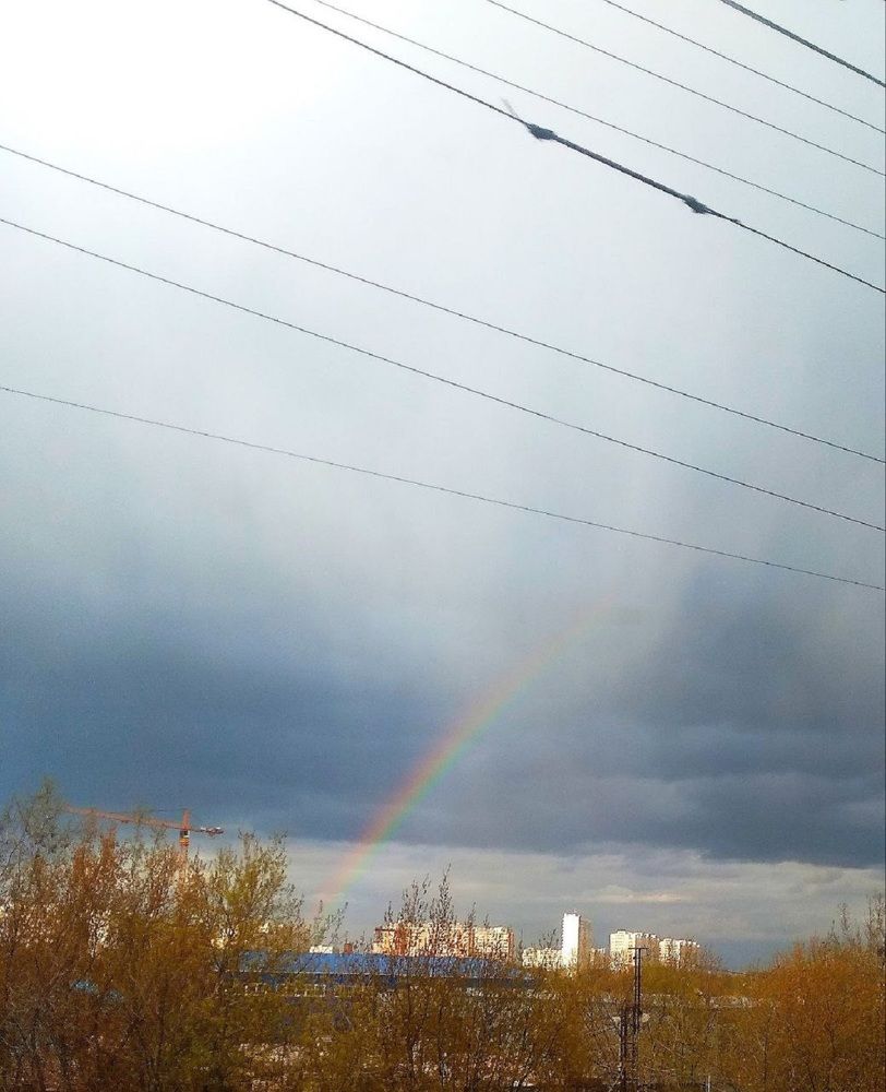 Фотография автора Людмила Чжен