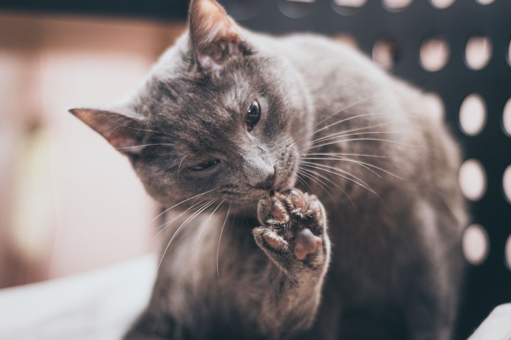 Photograph by Алексей