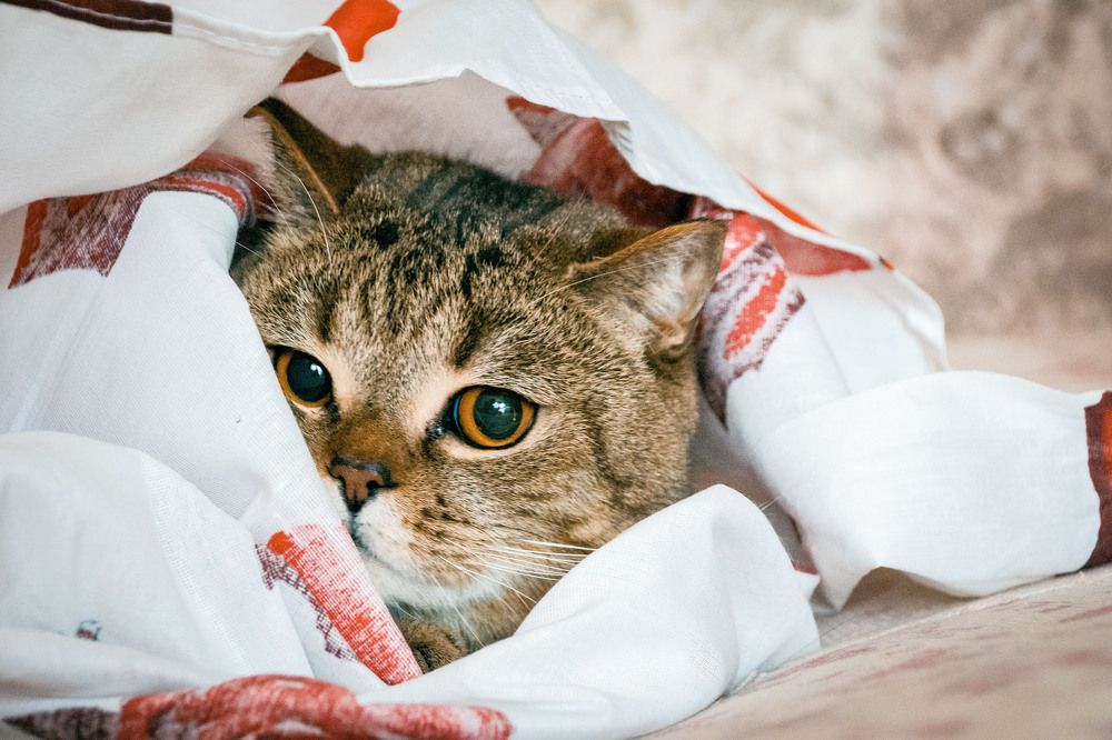 Photograph by Алексей