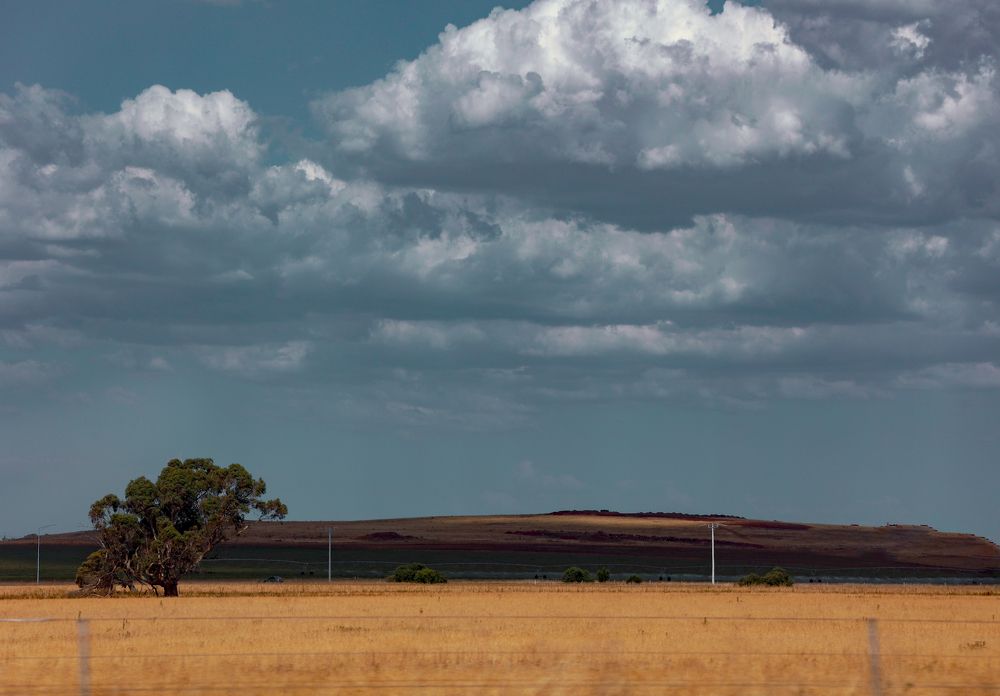 Photograph by Harshi Edirisinghe