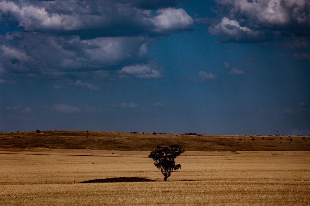 Photograph by Harshi Edirisinghe