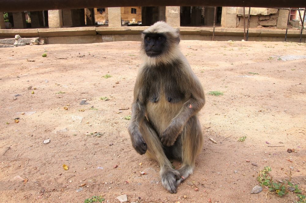 Photograph by Светлана Стрельцова