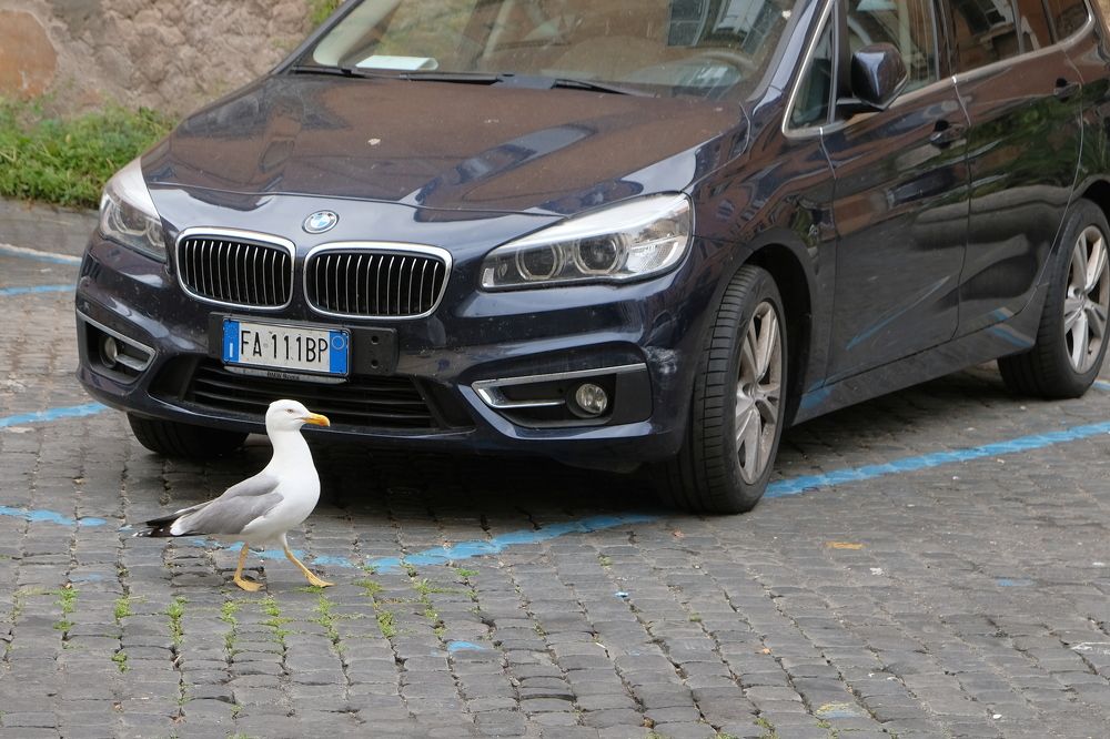 Photograph by Karchemski Arkadi