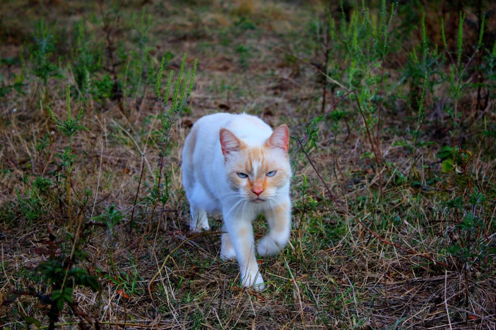 Photograph by Валерия