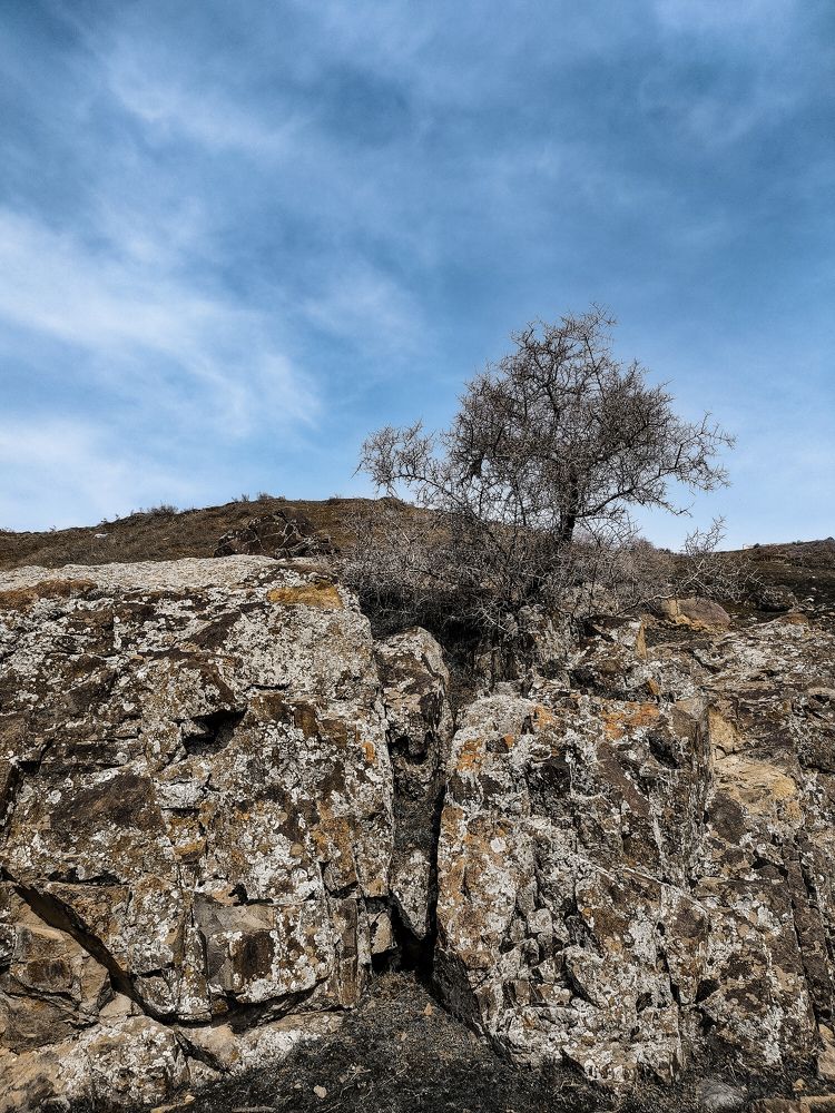 Photograph by Irina Grass