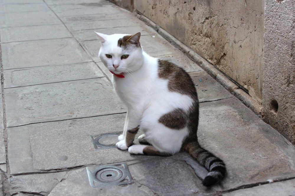 Photograph by Марина Юрченко