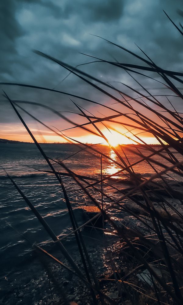 Photograph by Алексей Марченков