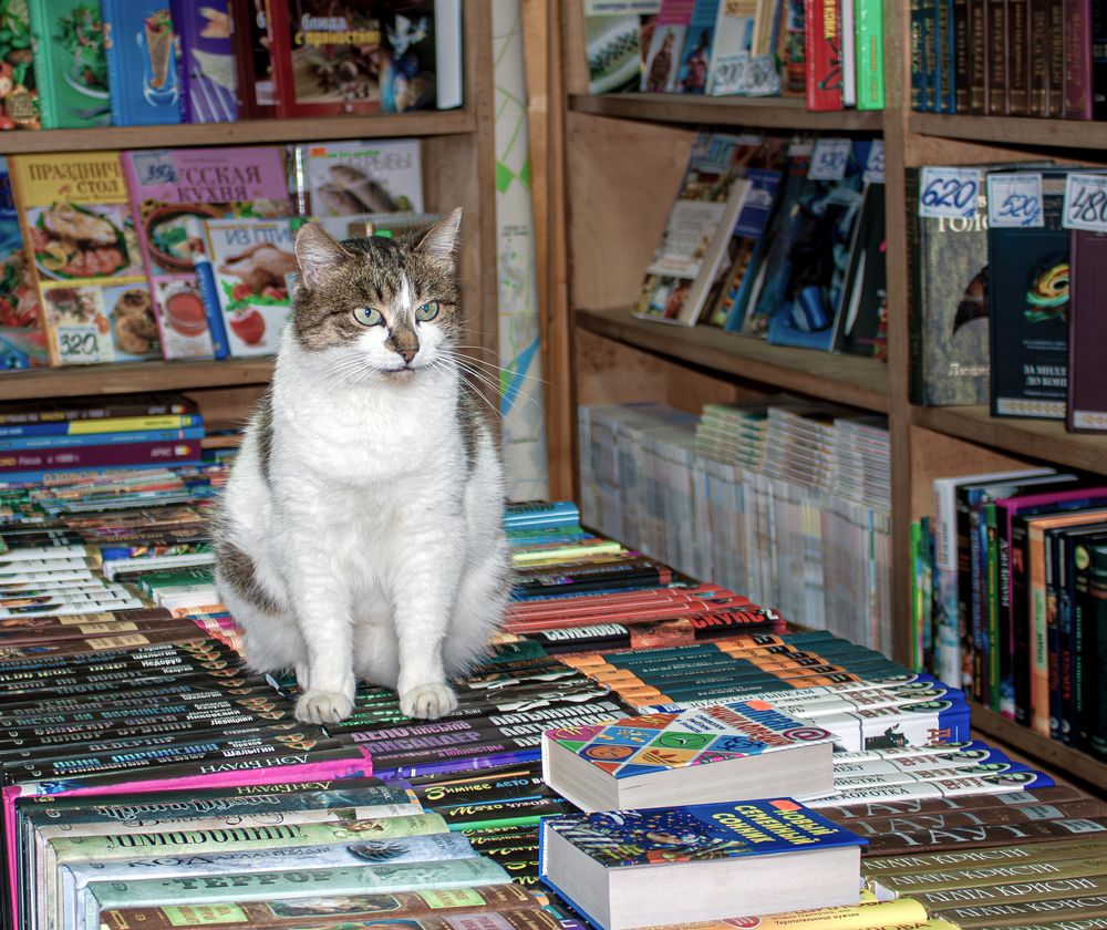 Photograph by Сергей Христинич