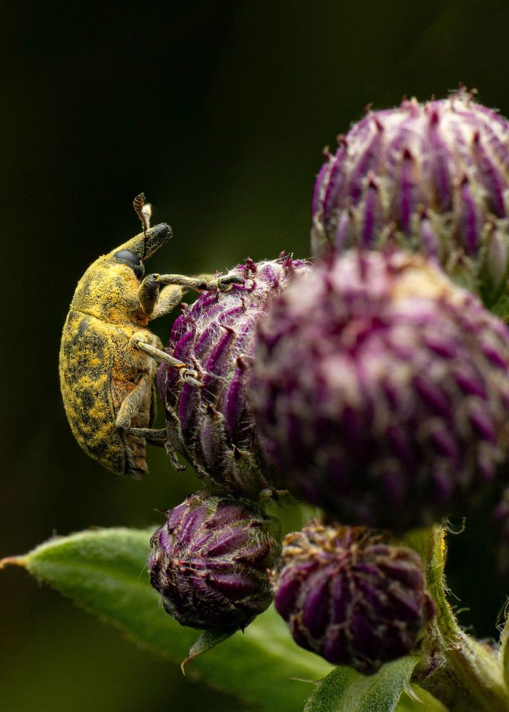 Фотография автора Любовь Маслова