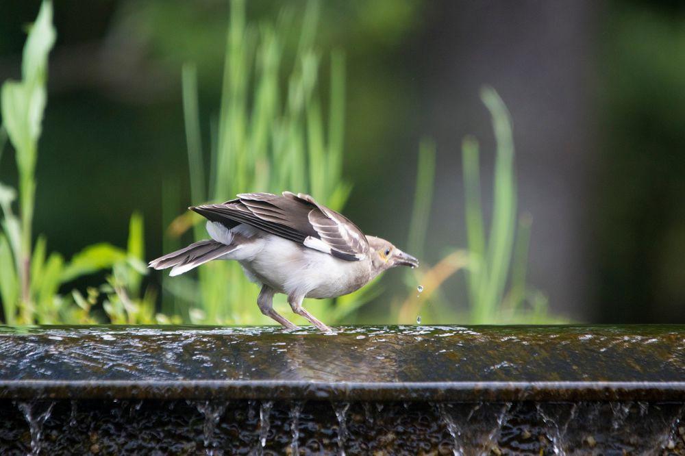 Photograph by  賴清淇