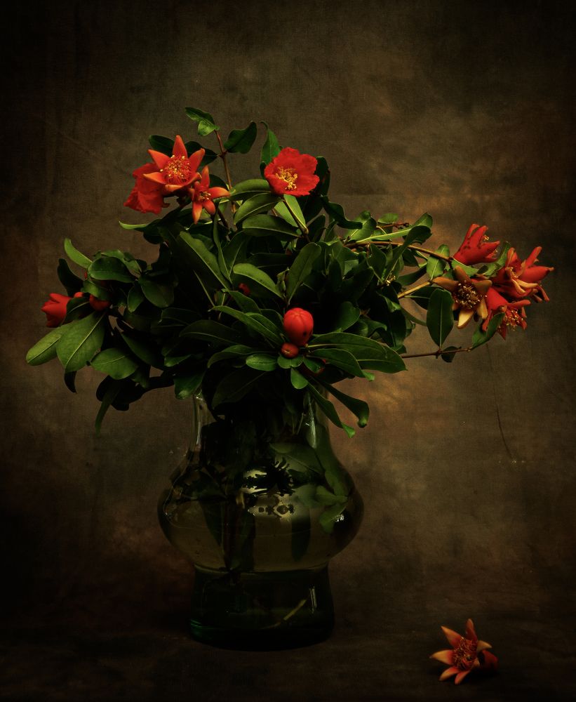 Photograph by Alex Kalpus