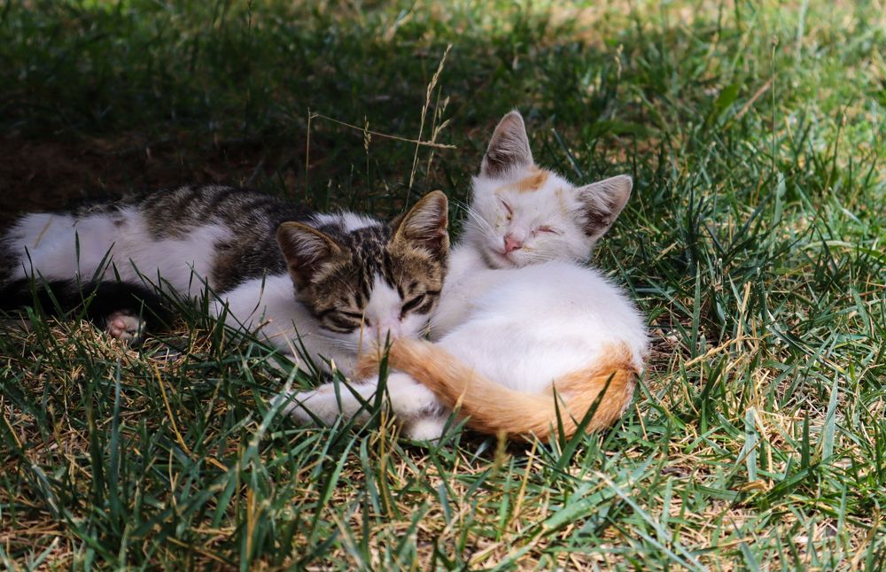 Photograph by Nay Ka