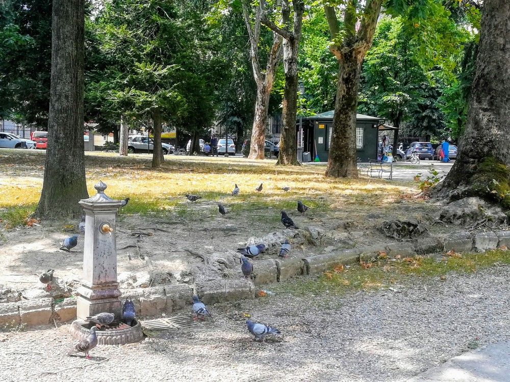 Photograph by Anila Ismailaj