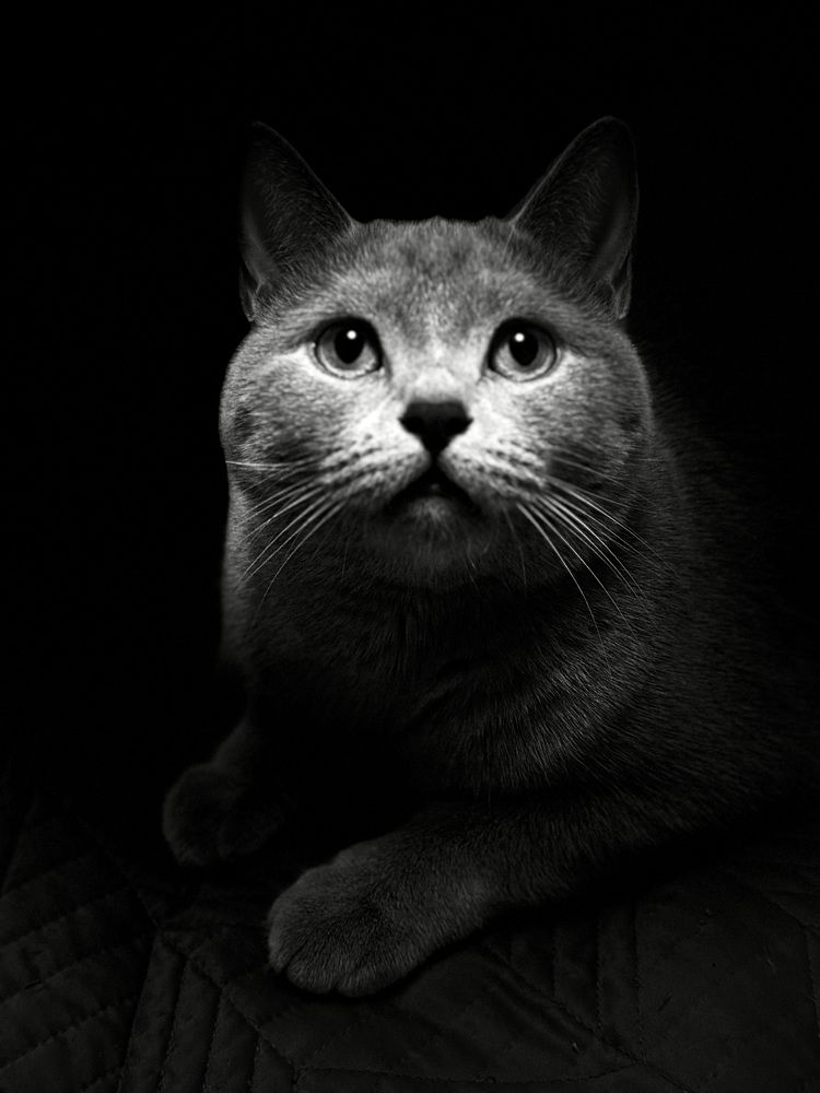Photograph by 