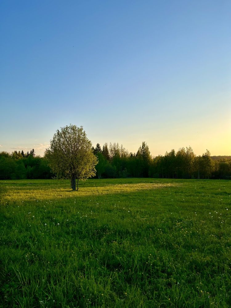 Photograph by Ирина Селиверстова