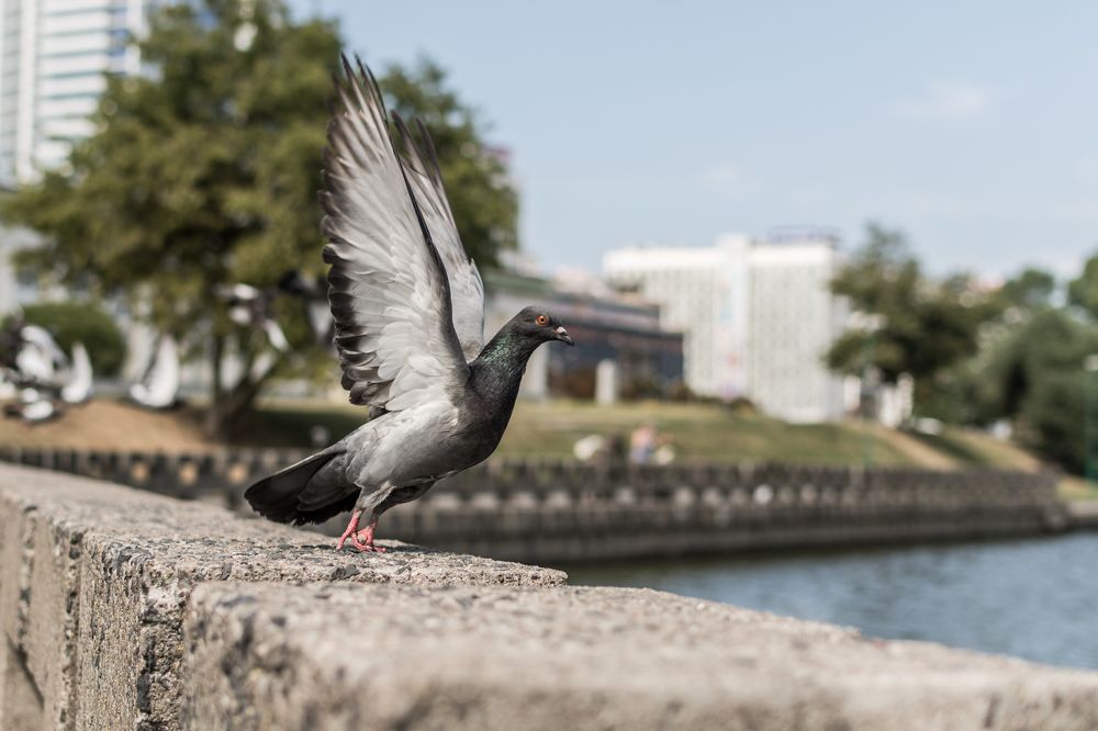 Photograph by Сергей Дишук