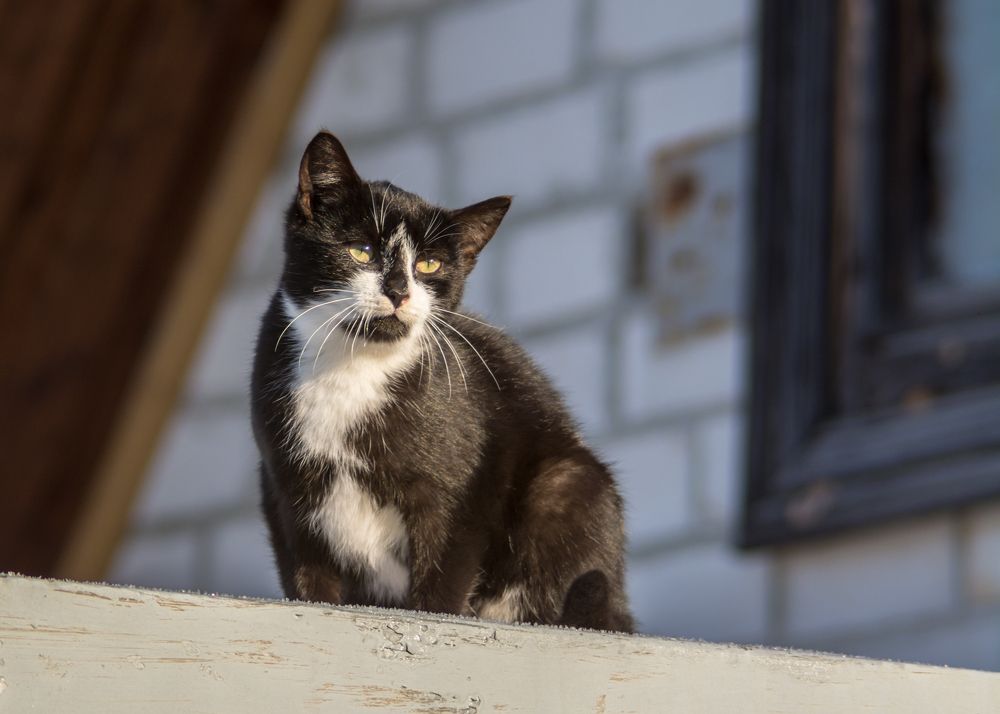 Photograph by Сергей Дишук