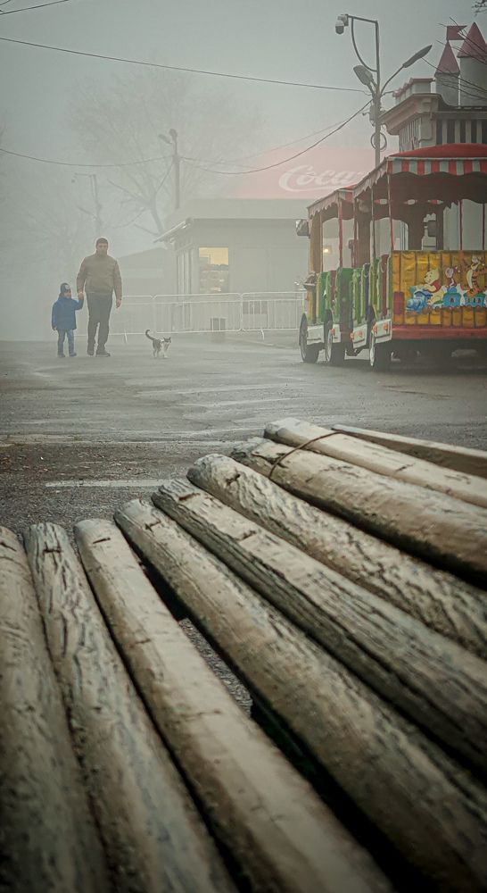 Photograph by Сергей Богданов