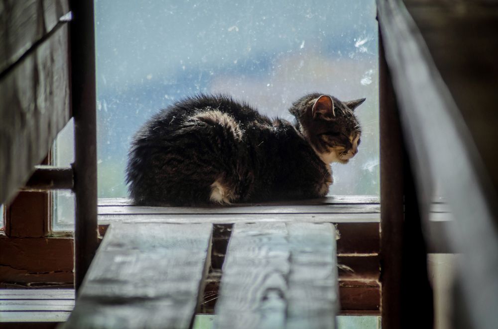 Меланхолия