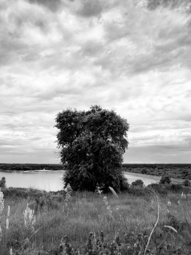 Photograph by Макарова Татьяна