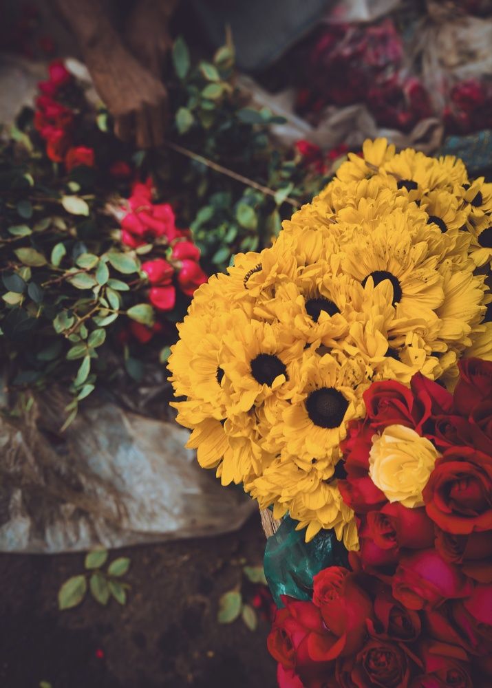 Photograph by Anubhav Bhattacharjee