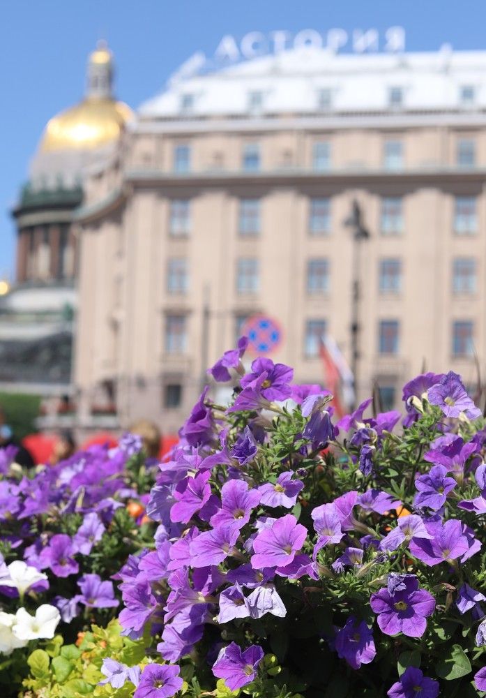 Photograph by Наталья Ананьева
