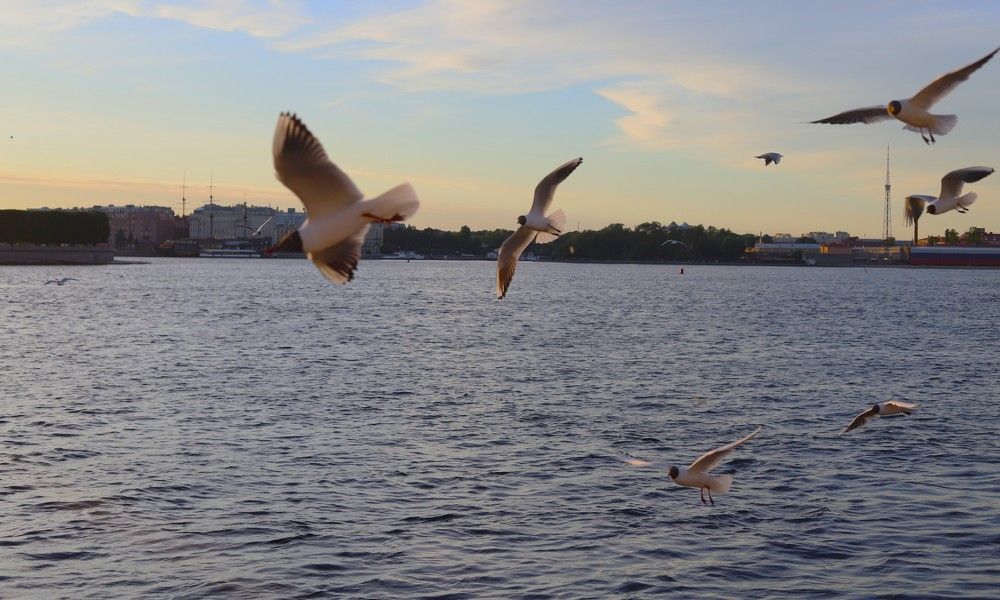 Photograph by Наталья Ананьева