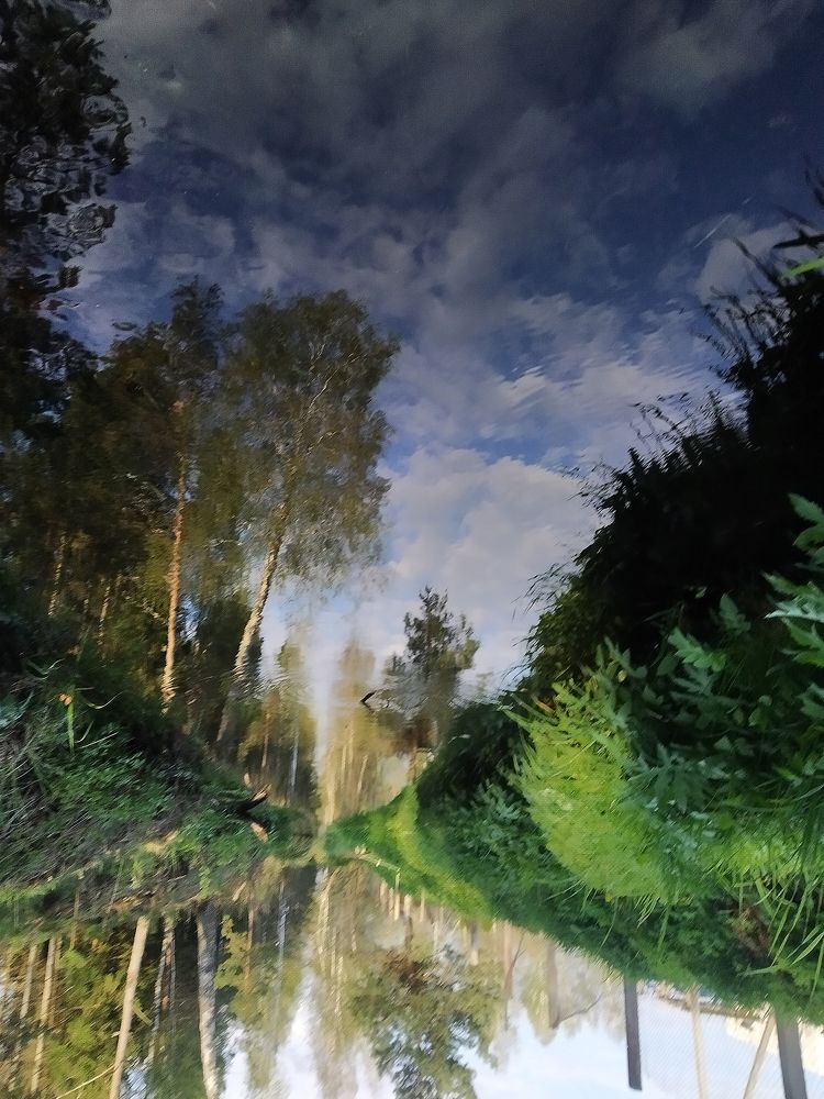 Отраженная реальность