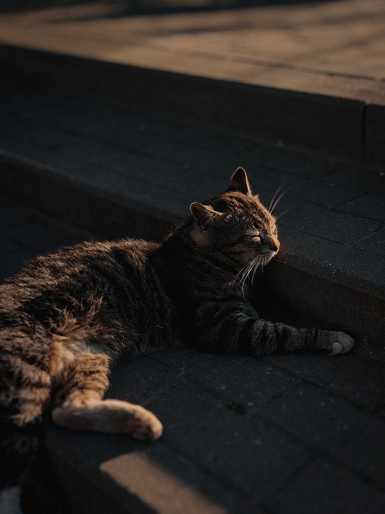 Photograph by Дарья Кондрашонок