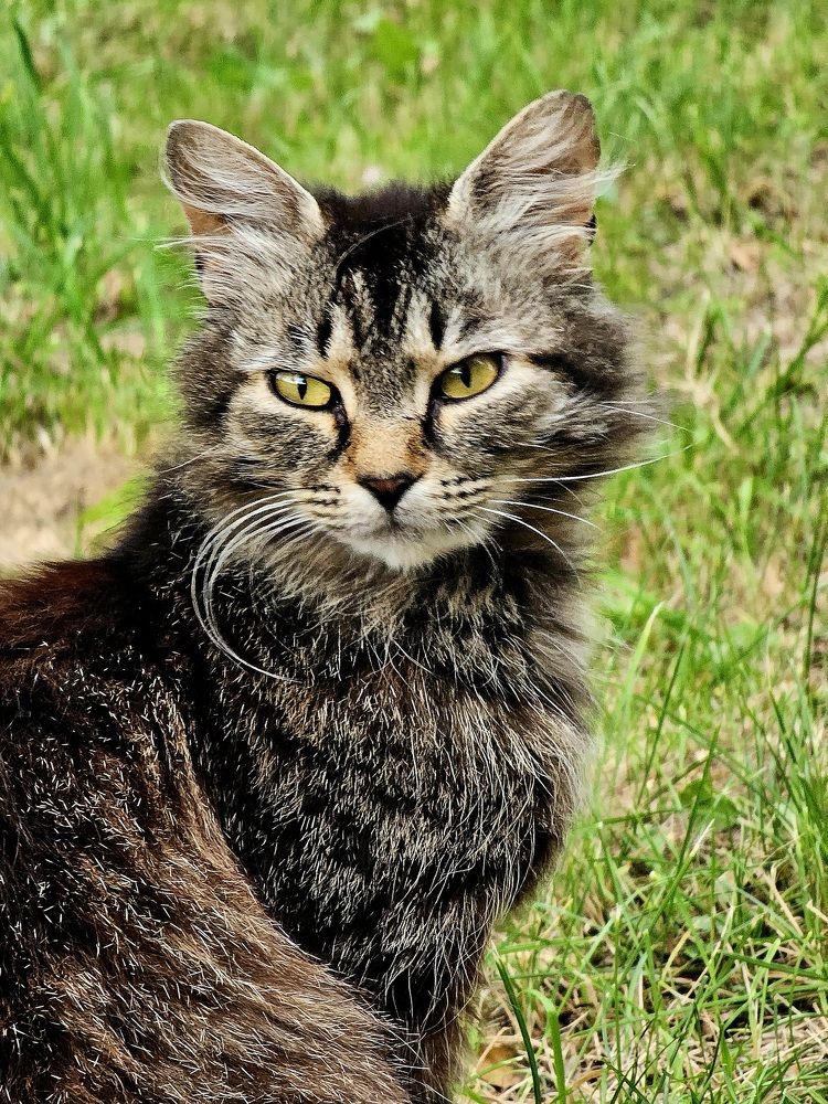 Фотография автора Мария Рудаковская