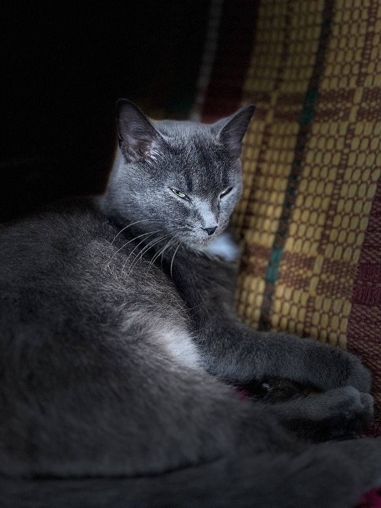 Photograph by Ирина Селиверстова