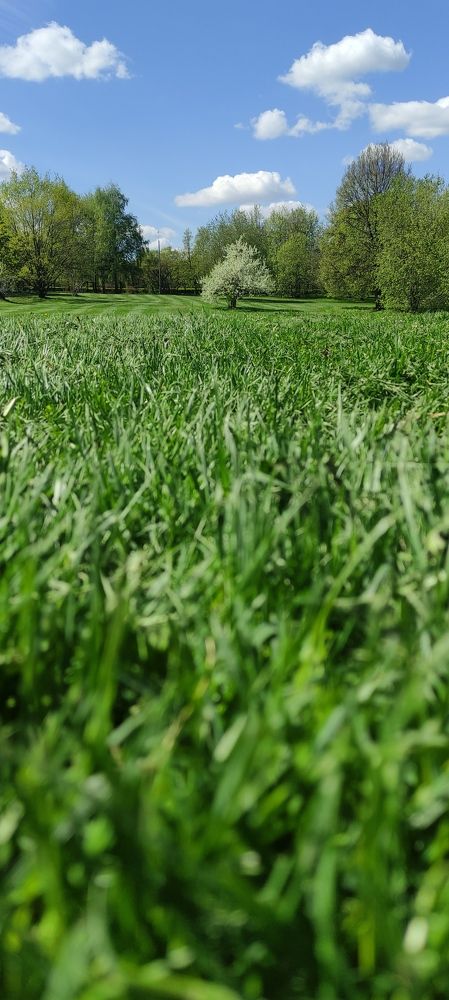 Фотография автора Васильева Ирина