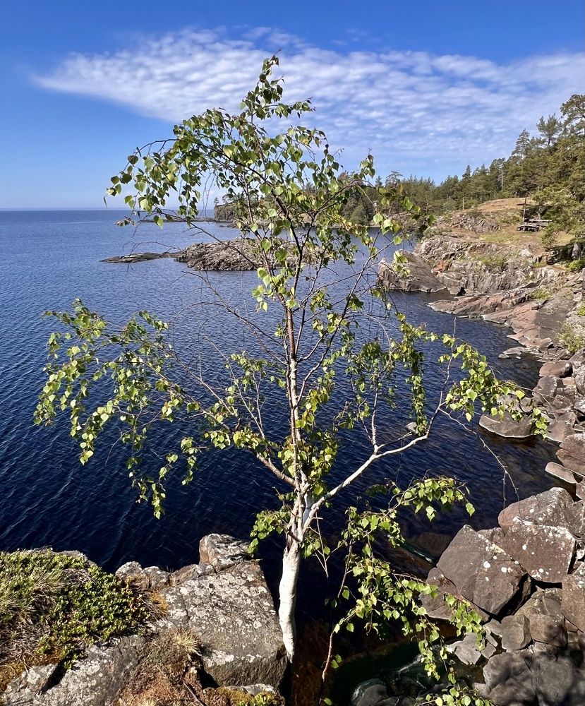 Photograph by Олег Травин