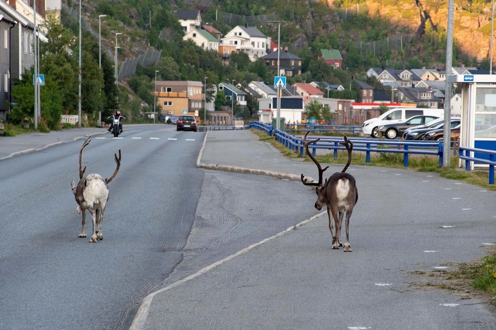 Photograph by Ованес Агарян